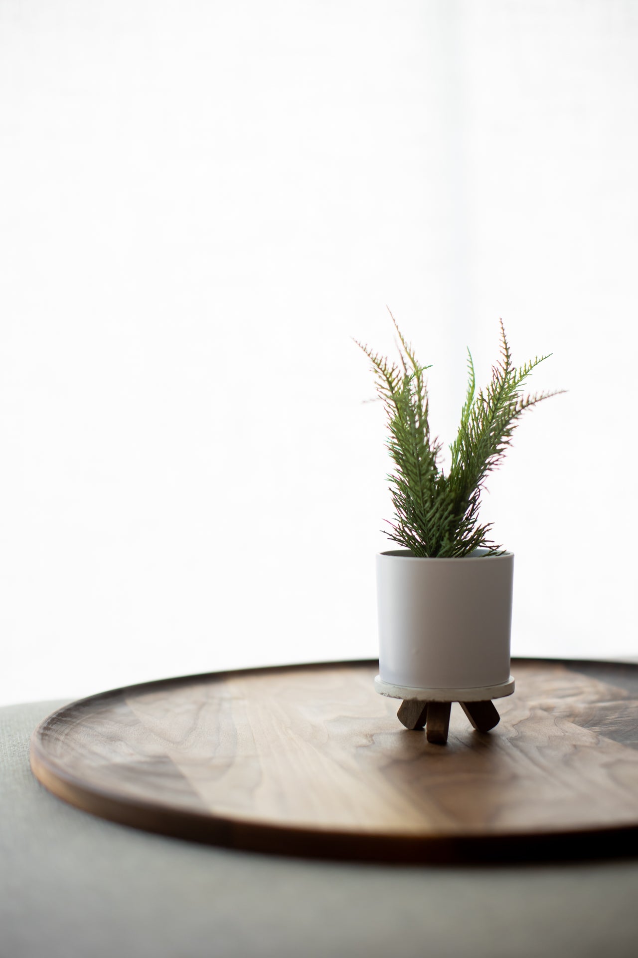 Roto Minimalist Tray