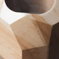 Geoplanter